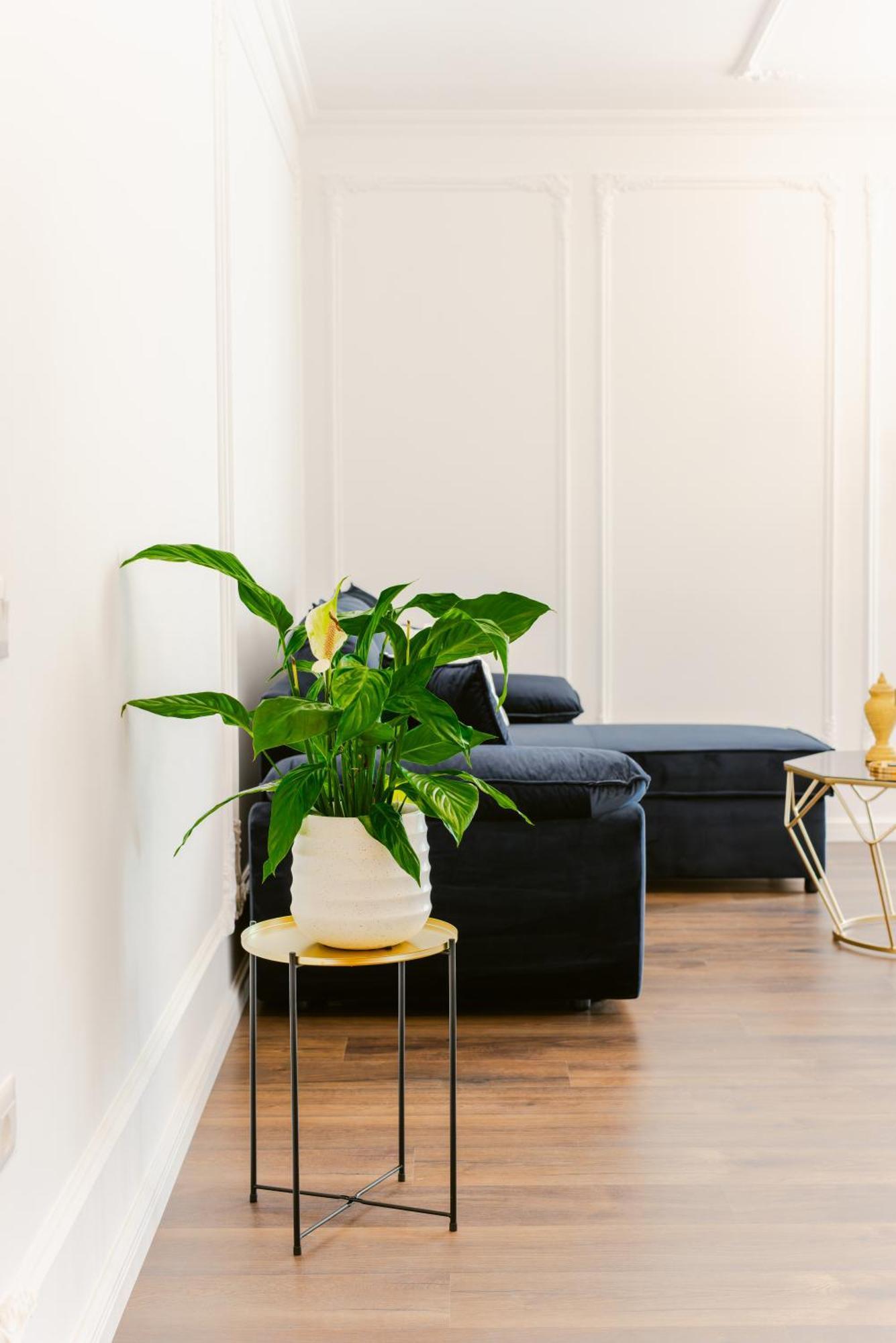 Luxury Rooftop In Astir Apartment *